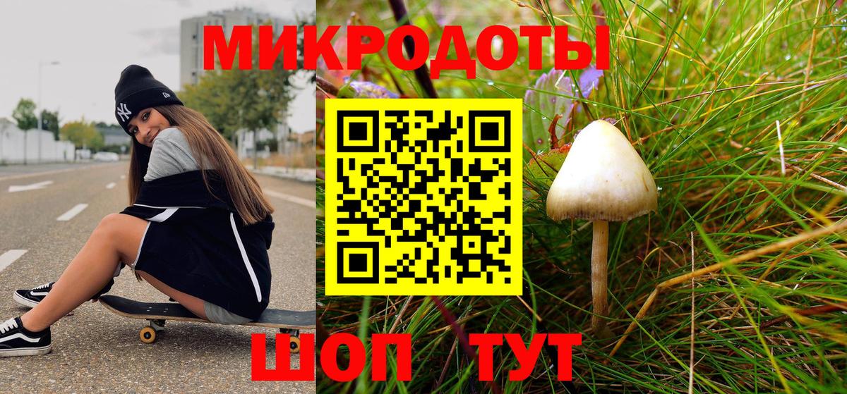 Псилоцибиновые грибы мицелий Унеча